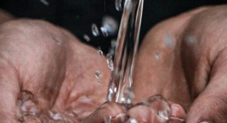 Zusammen arbeiten – für eine andere Landwirtschaft/2012